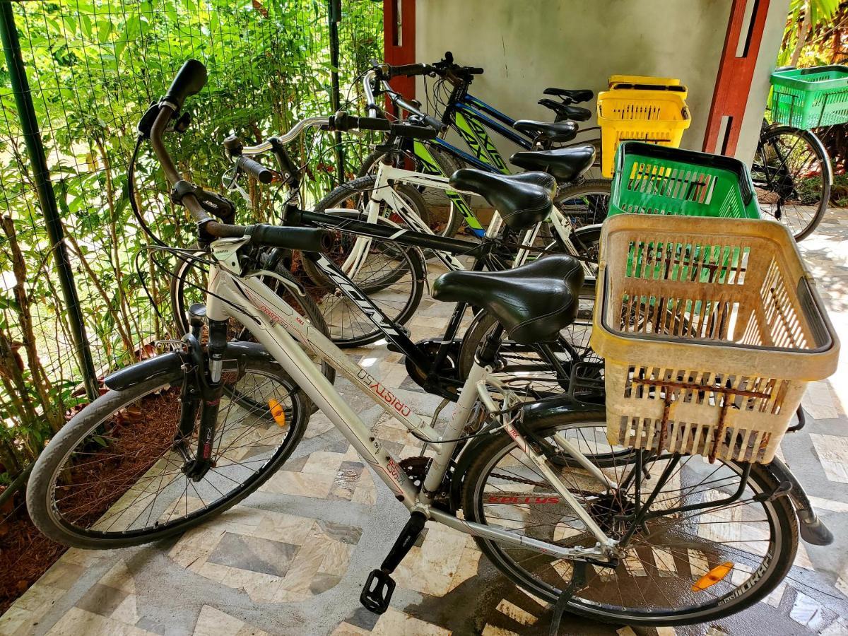 La Diguoise Hotel La Digue Eksteriør billede